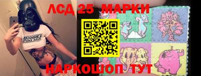 спиды Гатчина
