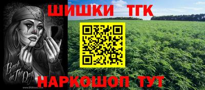 спиды Гатчина