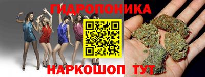 индика Гай