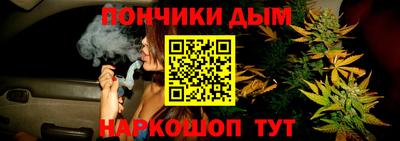 индика Гай