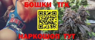 индика Гай