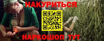 спиды Гатчина