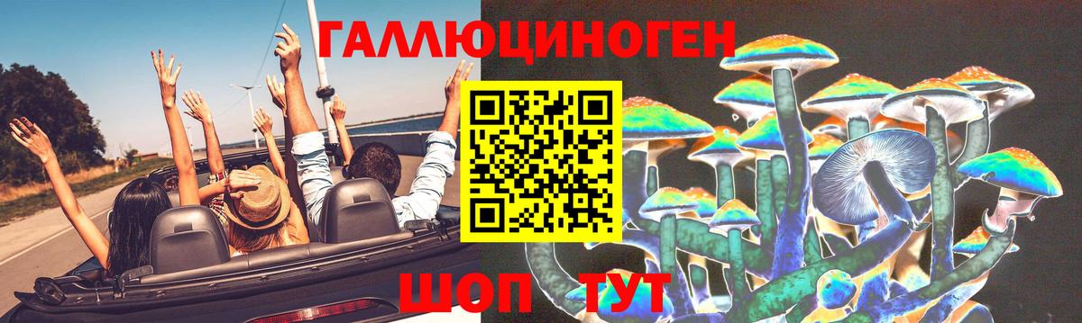 Галлюциногенные грибы Cubensis  Вход с VPN  Галлюциногенные грибы прущие грибы  Ижевск 